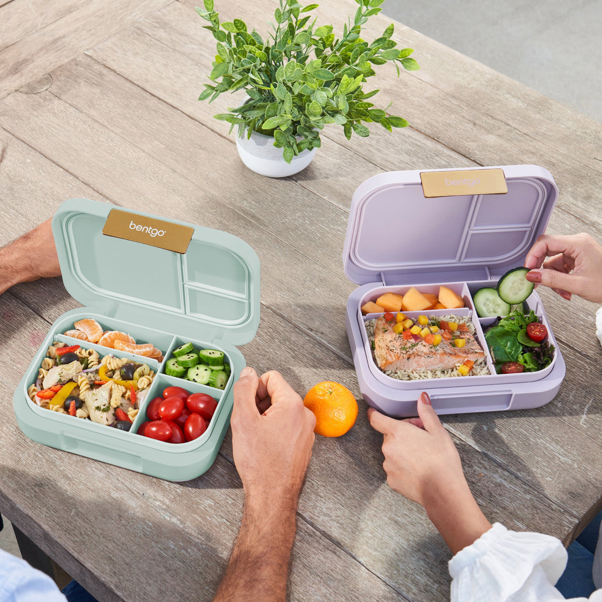 bentgo-modern-lunch-box-2-pack-n2 COSTCOBMCPRODUCTIMAGE_2.jpg